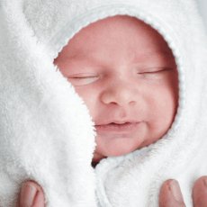 Chrate novorozence ped pylem