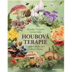 Houbov� terapie