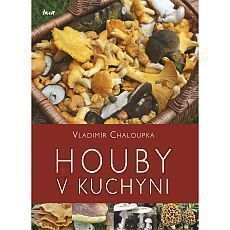 houby-v-kuchyni