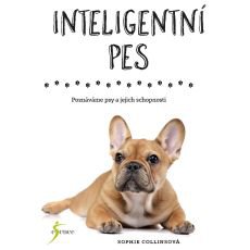Inteligentn pes