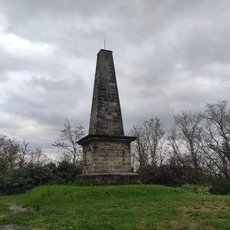 Bedichova vyhldka