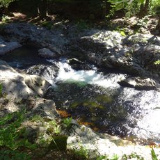 Vodop�dy na horn�m toku Labe