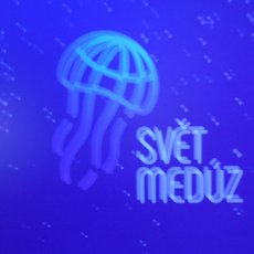 Svt medz