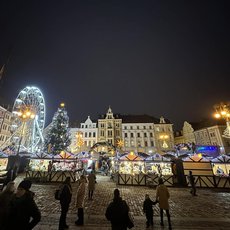 Ohl�dnut� za adventem