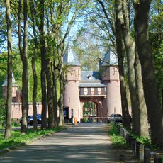 Naše první cesta do Holandska - Keukenhof Naše první cesta do Holandska - Keukenhof