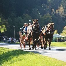 Karlovsk gastrofestival