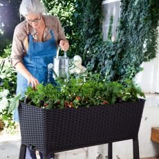 Jak p�stovat na balkon� bez zbyte�n�ch chyb