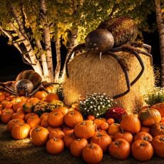 Halloween v botanick� zahrad� v Troji zavede n�v�t�vn�ky do prav�ku