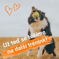 Jaro na proch�zce i p�i tr�ninku: s�pamlskem to jde sn�z