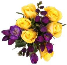 Oslava �en v�ech generac�. Kaufland p�in�� tipy na d�rky pro radost v ka�d�m v�ku