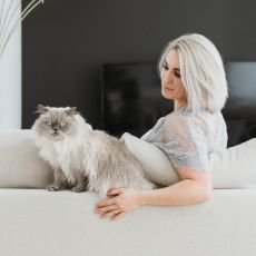 Jak vybrat vhodn� ko�kolit?