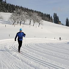 běžky jsou bezpečný a levný sport běžky jsou bezpečný a levný sport
