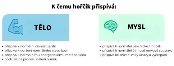 Jak spr�vn� vybrat ho���k?