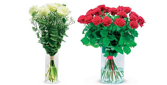 růže - sv. Valentýn růže - sv. Valentýn