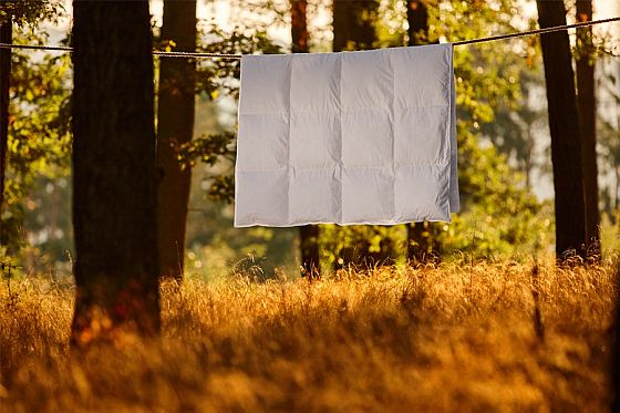 Vte, jak sprvn peovat o pikrvky a polt