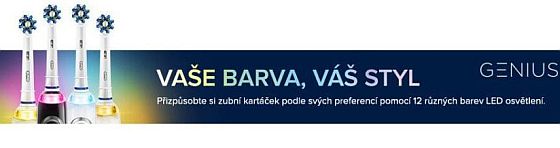 Oral B Oral B