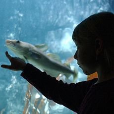 Sea Life Deutschland Sea Life Deutschland