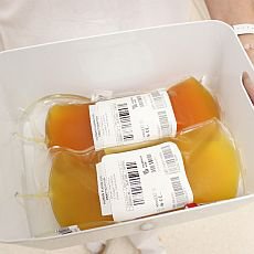 darovan plasma