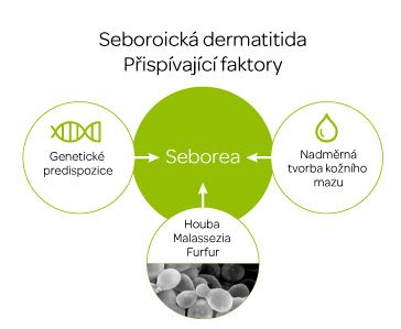 Seboroick dermatitida 