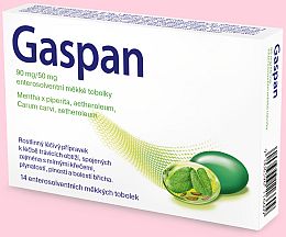 GASPAN GASPAN