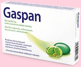 GASPAN