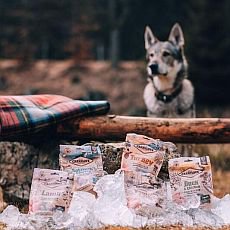 Mrazem sušené masové pamlsky Carnilove Raw Freeze, tak vypadá motivace