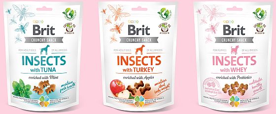 pochoutky Brit s hmyzem