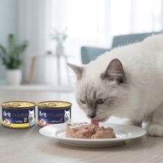 p�nov� konzervi�ky Brit Premium by Nature Cat Mousse