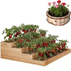 Je �as probudit zahradu. V�te, jak na jarn� restart?