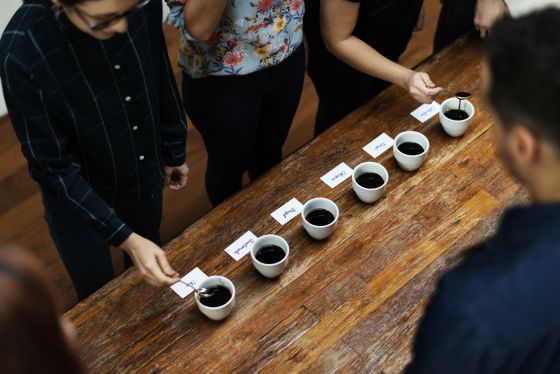 Umn degustace kvy: Jak rozeznat vechny chuov nuance