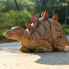 Stegosaurus Stegosaurus