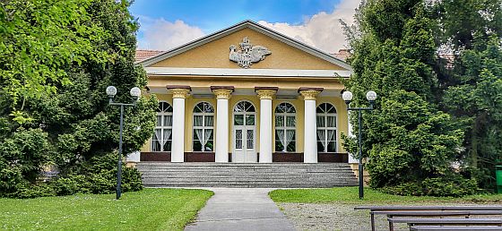 Den kůže - Ensana Den kůže - Ensana