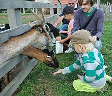 Farma Park Farma Park