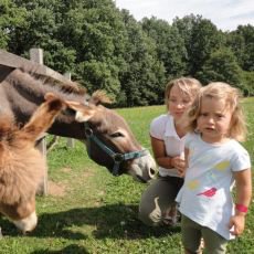 Farma Blaník u Vlašimi Farma Blaník u Vlašimi