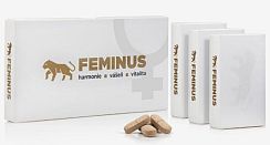 Feminus