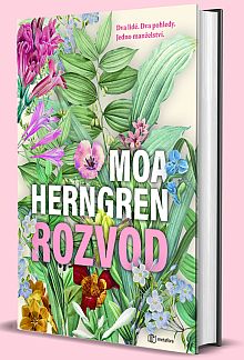 kniha Rozvod