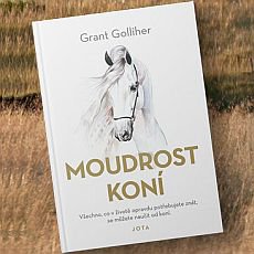 Moudrost kon