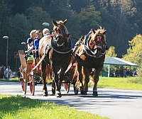 Karlovsk gastrofestival