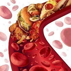 cholesterol v krvi