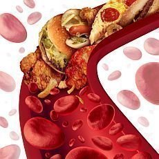 cholesterol v krvi
