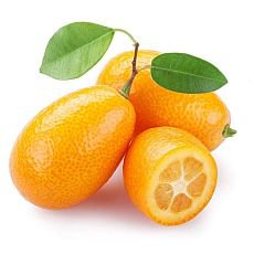 Kumquat Kumquat