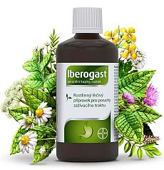 Iberogast Iberogast