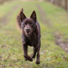 Longevity: v�c ne� trend i pro na�e �ty�noh� par��ky