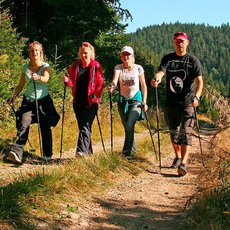 nordic walking