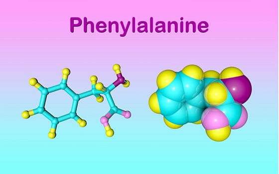 L-phenylalanin