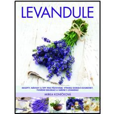 Levandule Levandule