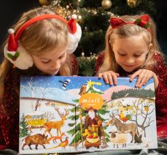 adventn kalend Mixit