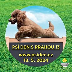 Ps den 2024