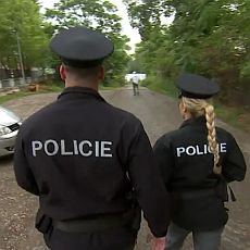 Policie v akci