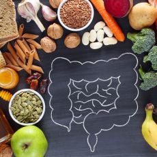 Pirozen podpora stev aneb uiten tipy pro lep trven